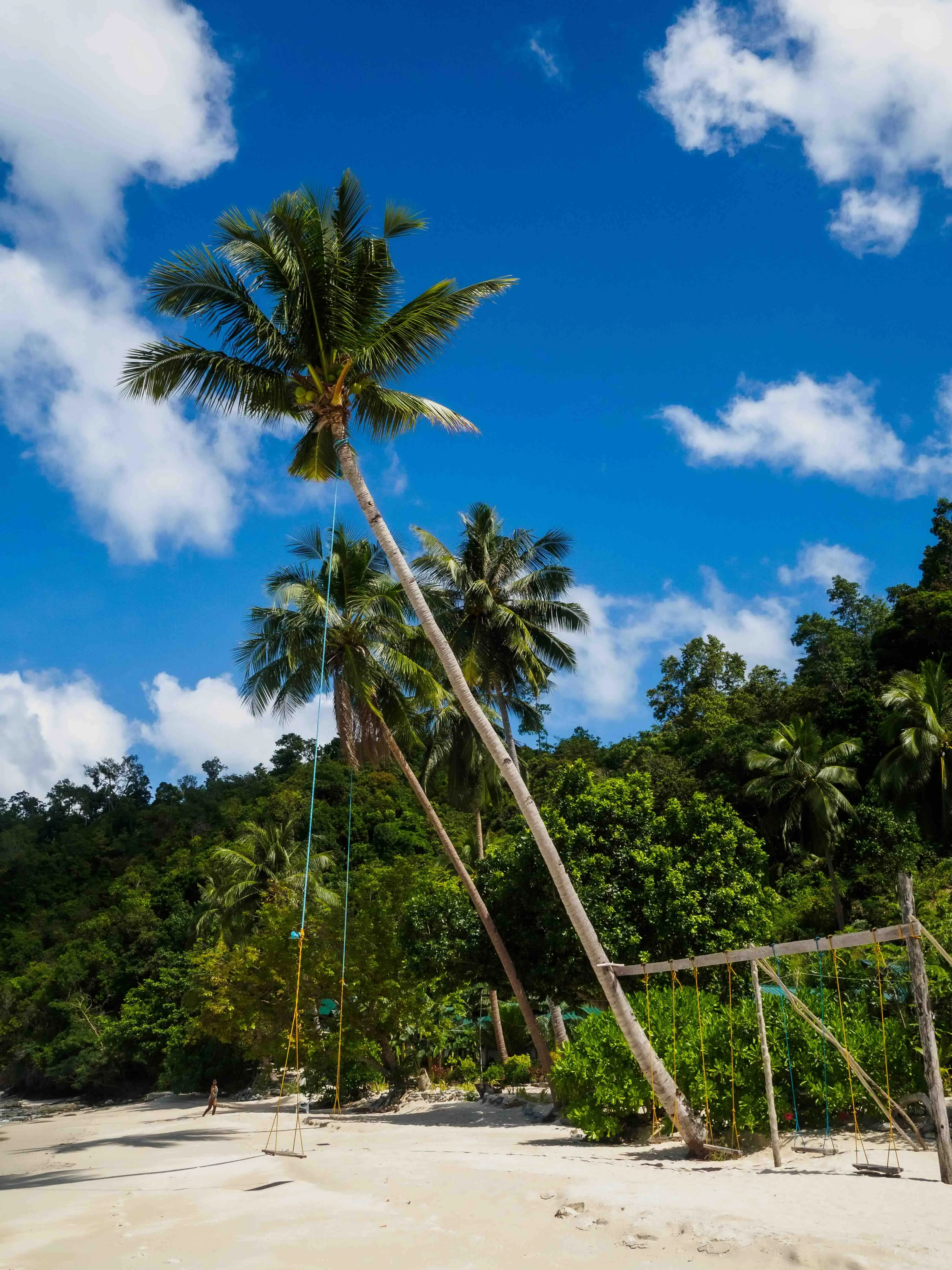 Palmtree